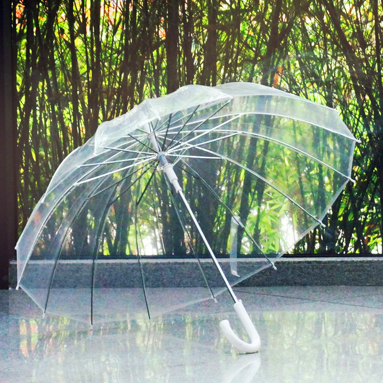 Qiutong16骨网红复古透明雨伞长柄透明伞自动文艺伞可定制广告伞