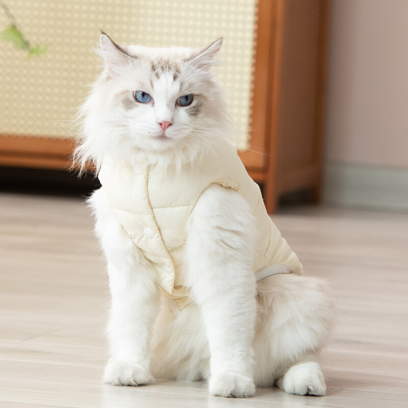 猫咪衣服秋冬装布偶英短小猫可爱羽绒服宠物保暖棉衣防掉毛可牵引