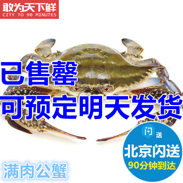 5-8两1只 北京闪送 鲜活 满肉 公梭子蟹 螃蟹 海蟹海鲜水产 飞蟹