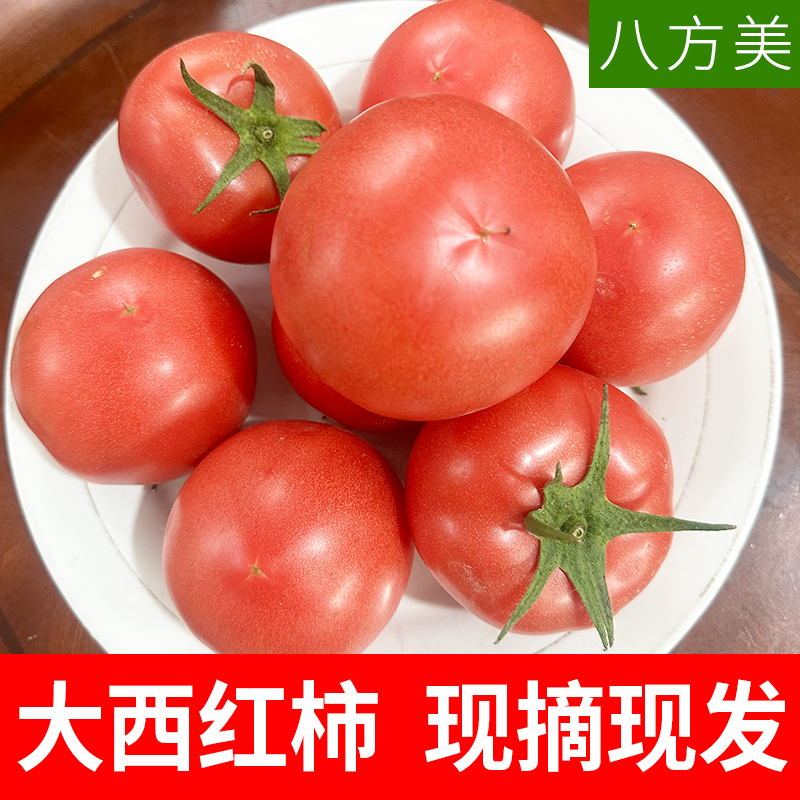 八方美大西红柿新鲜蔬菜农家自然熟大番茄大柿子做菜番茄现摘现发