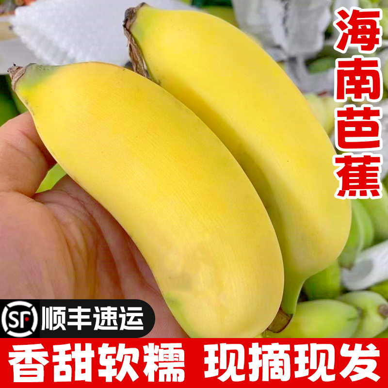 香蕉海南芭蕉新鲜小米蕉粉蕉苹果蕉软糯自然熟三亚特产5斤8斤顺丰