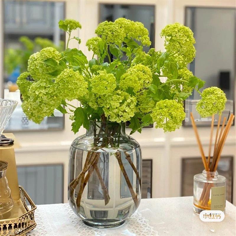 北欧风格冷灰色玻璃花瓶透明简约创意水培花瓶摆l件客厅餐桌插花