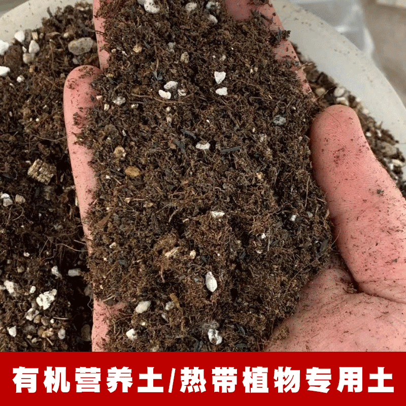 热植专用有机营养土进口品式泥炭土配制绿植通用土配制绿植营养土