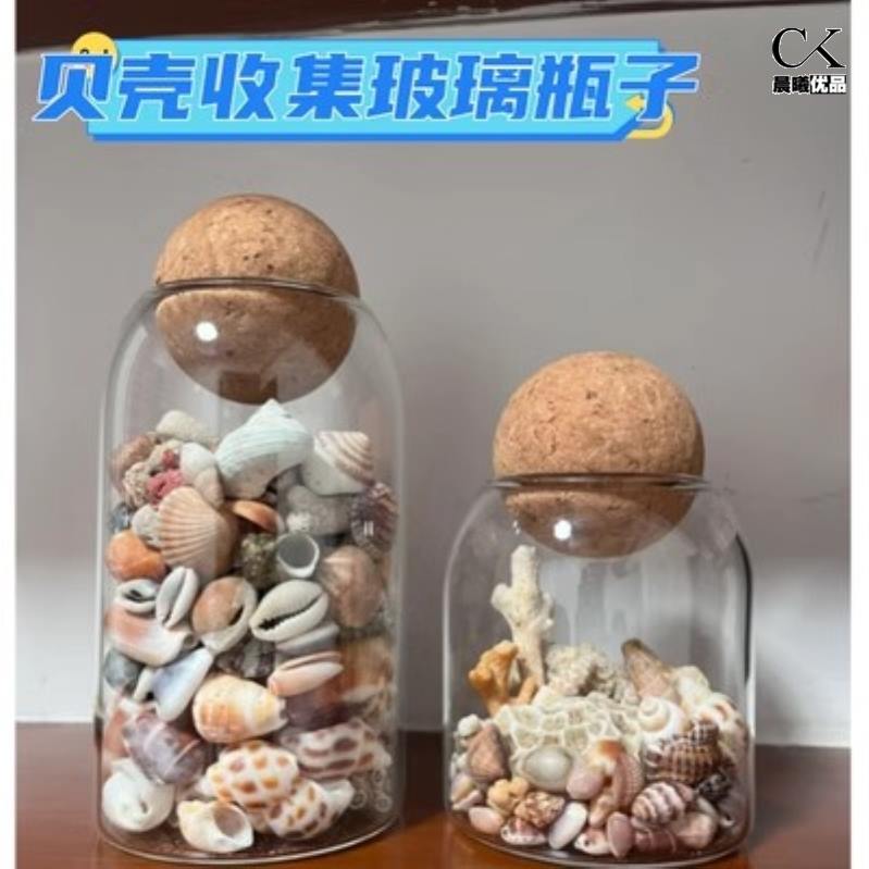 海边收集贝壳玻璃瓶球塞收纳容器瓶子捡贝壳透明瓶游玩捡贝母罐子