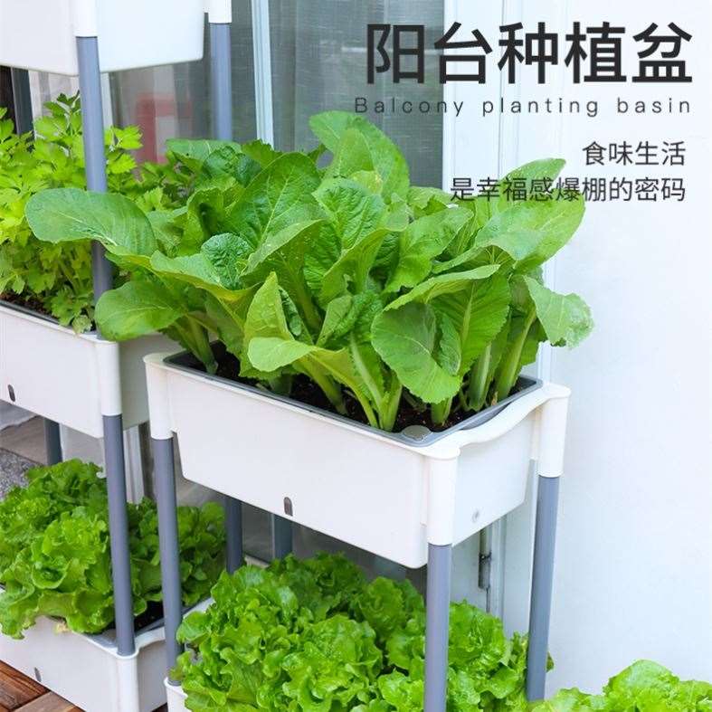 菜盆种植阳台上生菜种植盆种菜的盆专用架子多层蔬菜架家用室内箱