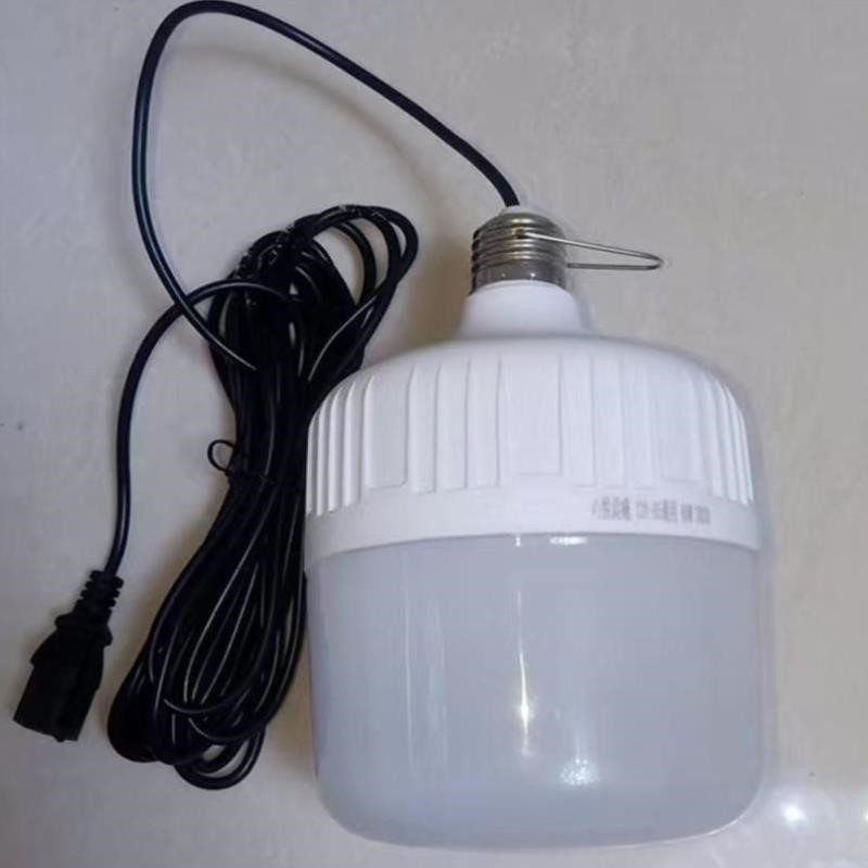LED12V-85V电瓶灯节能夜市灯摆地摊应急灯电动车专用灯低压灯泡
