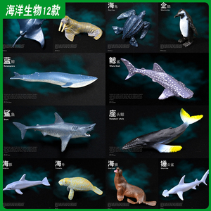 认知仿真海洋世界动物模型海狮海豹海象海牛鲸鱼鲨鱼蓝鲸摆件玩具