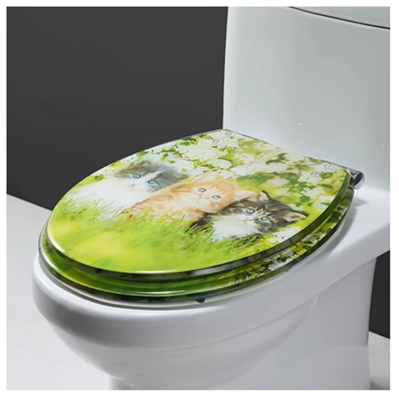 树脂坐便器马桶盖板加厚透明缓降3d通用型动物图案防水厕所板缓降