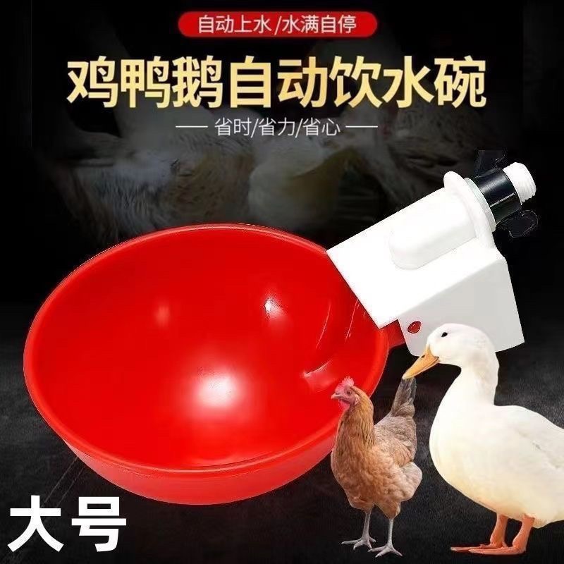 大号鸡鸭鹅自动饮水碗饮水器鸽子鹌鹑喂喝水碗家禽鸡用自动饮水器