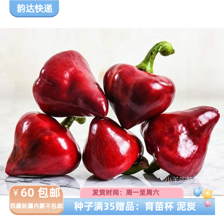 【种子】传家宝老品种  甜多汁果肉厚  甜辣椒乐夏森林甜椒  5粒