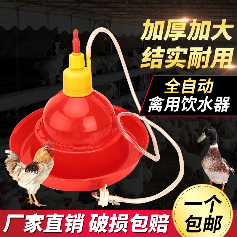 养殖养鸡设备用品普拉松自动饮水器鸡鸭鹅用喂水器鸡场喂鸡饮水壶