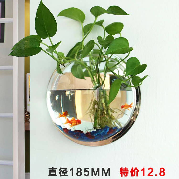 壁挂水培创意绿萝绿植花盆挂壁挂墙圆形装饰器皿贴墙花瓶大号简约
