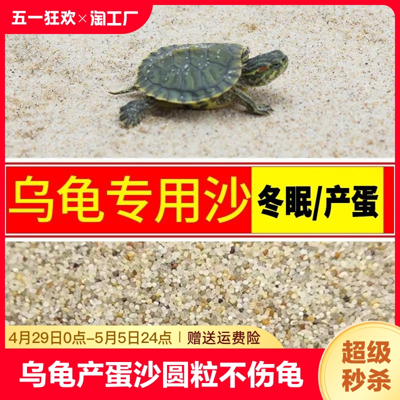 乌龟专用砂冬眠爬宠砂天然细河沙鱼缸铺底造景螃蟹陆龟产蛋沙溪流