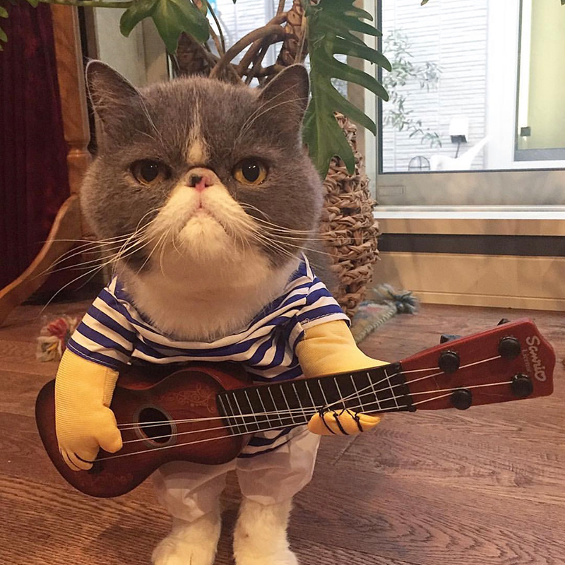 抖音同款吉他手搞笑宠物直立变身装猫咪加菲英短衣服泰迪猫咪服饰