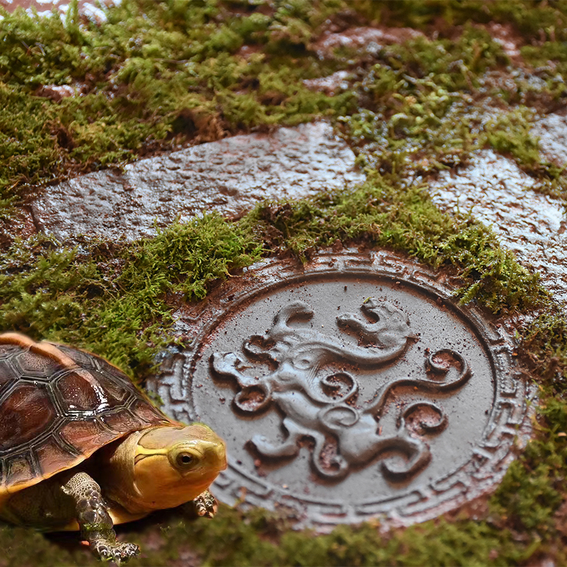 黄缘龟专用造景装饰砖安缘垫材半水龟缸乌龟箱吸水保湿手工小地砖