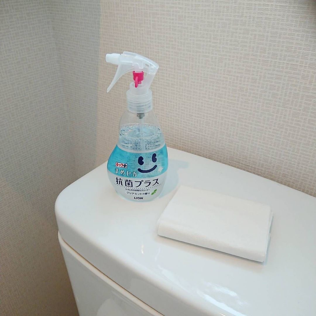 日本进口马桶坐便器清洁剂卫生间除菌剂儿童马桶垫清洁瓶装210ml
