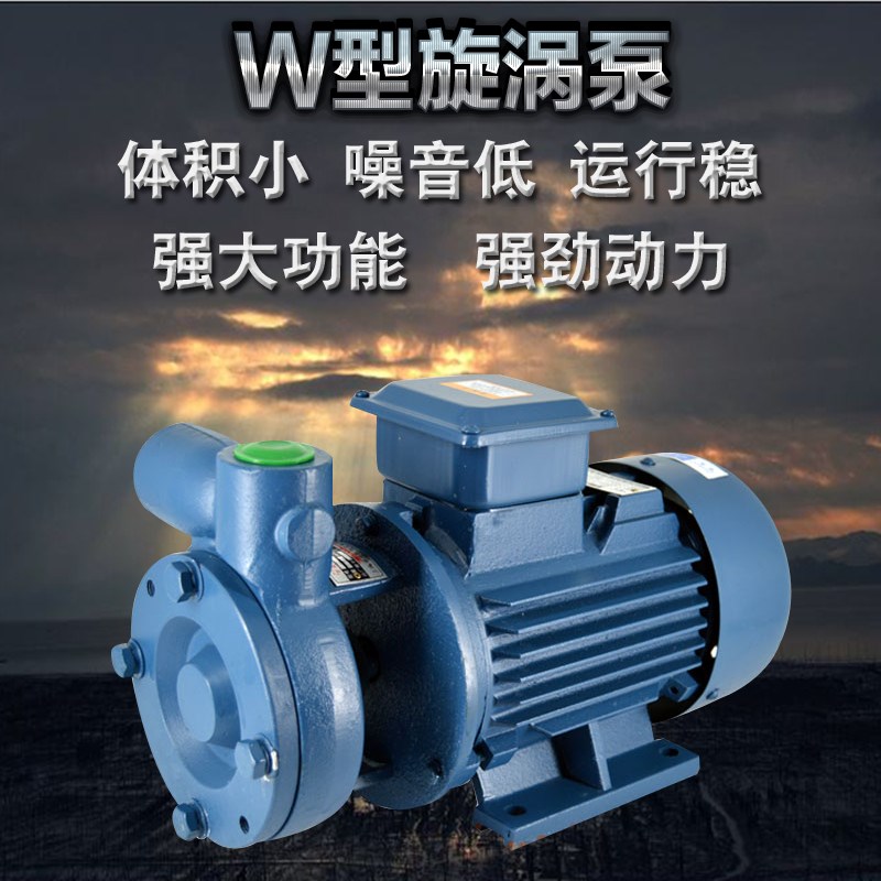 W型高扬程单级悬臂式漩涡泵增压泵高压泵锅K炉给水补水泵三相380V