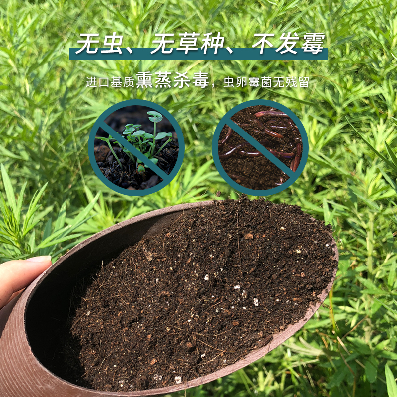 进口营养土花土家用绿萝盆栽植物通用多肉专用栽培泥炭颗粒土花泥