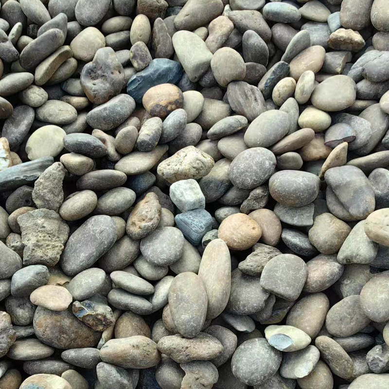 广西鹅卵石铺路石小粒园林铺地石子大号漂染用或变压器站天然石头