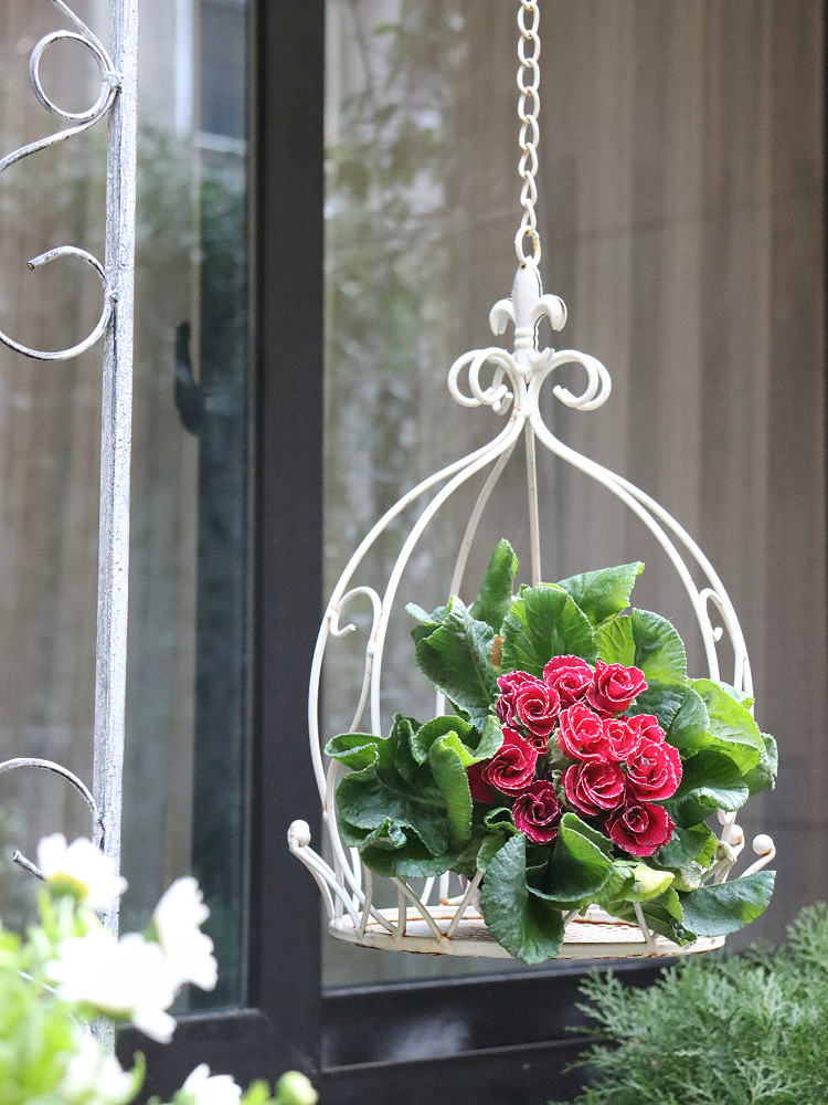 阳台花架悬挂吊篮壁户外铁艺挂篮花园装饰布置室外吊兰挂式花盆架