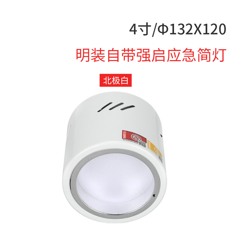 商用二合一led明装应急筒灯消防照明灯家用多功能停电应急灯
