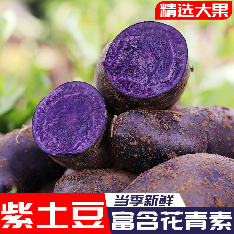 山东黑土豆新鲜黑金刚黑美人10蔬菜黑紫色马铃薯乌洋芋大 整箱5斤