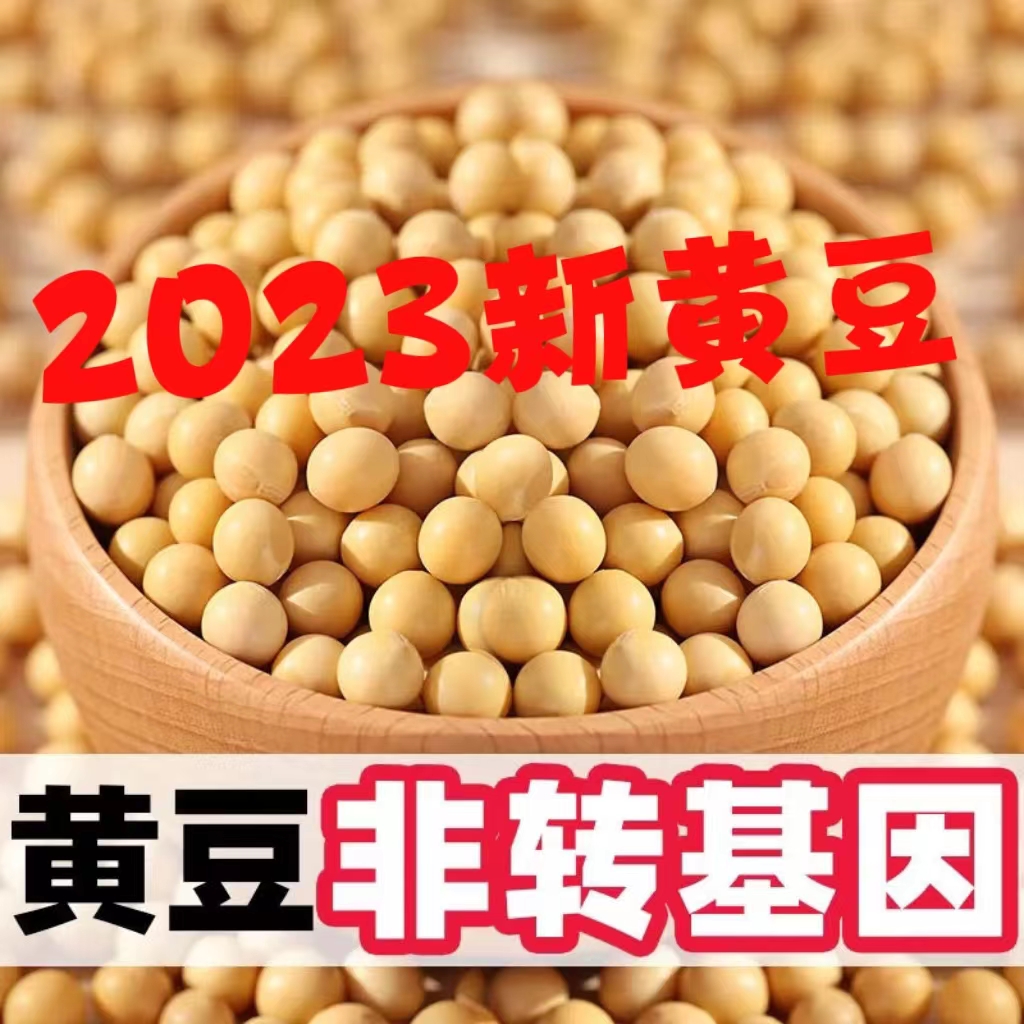2023东北本地优质新黄豆打豆浆专用生豆芽5斤非 转基因土小粒农家