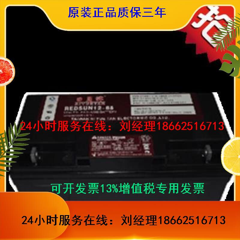 日月潭蓄电池12V65AH REDSUN12-65 UPS/EPS/直流屏等电力设备专用
