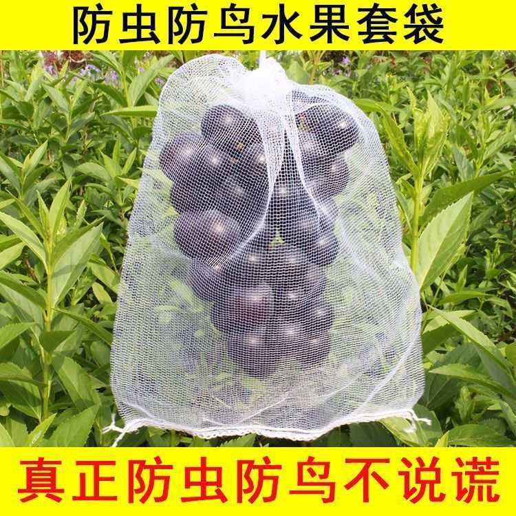 草莓蓝莓水果网套袋防虫防鸟吃套袋纱网袋葡萄无花果透气瓜果套袋