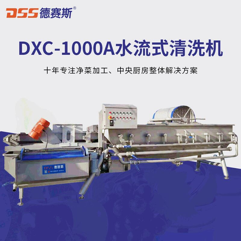 供应食品/饮料加工及餐饮行业设备DXC-1000A水流式清洗机
