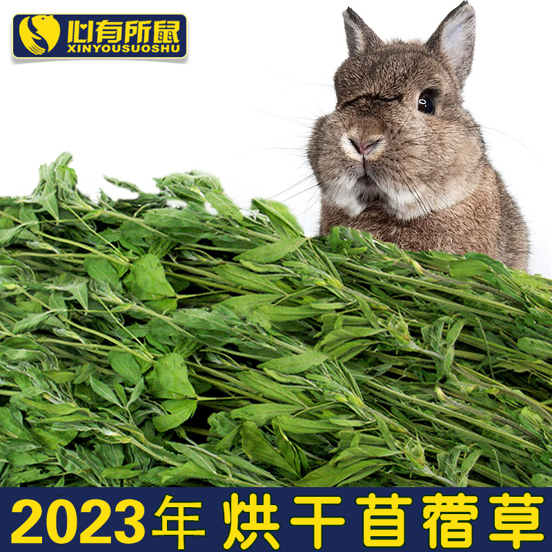 烘干苜蓿草2023新草兔子饲料豚鼠龙猫粮荷兰猪兔粮幼兔干草牧草