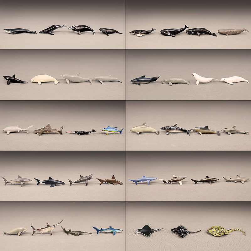 仿真小号海洋鱼类动物模型 座头鲸蓝鲸大白鲨鱼海豚金枪鱼小摆件
