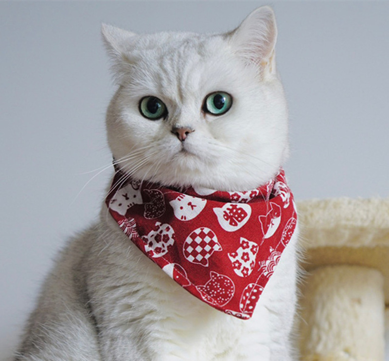 猫咪喜庆三角巾新年幼猫过年狗狗项圈可爱围巾日式和风口水巾围嘴