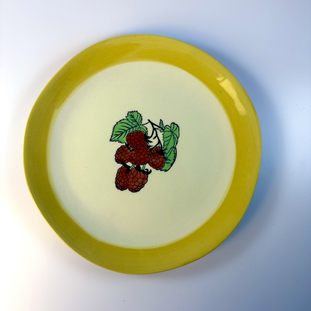 外贸陶瓷手绘10寸欢愉假日树莓餐盘欧式陶瓷菜盘西餐盘餐具盘子