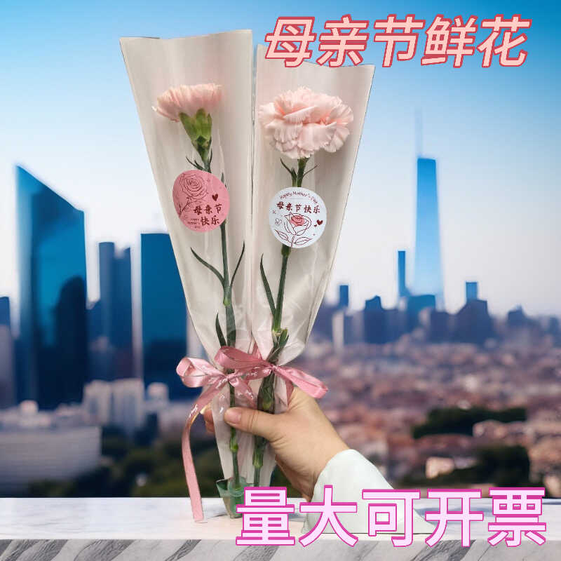 母亲节520红玫瑰康乃馨单支小花束鲜花真花团购批发广州全国速递