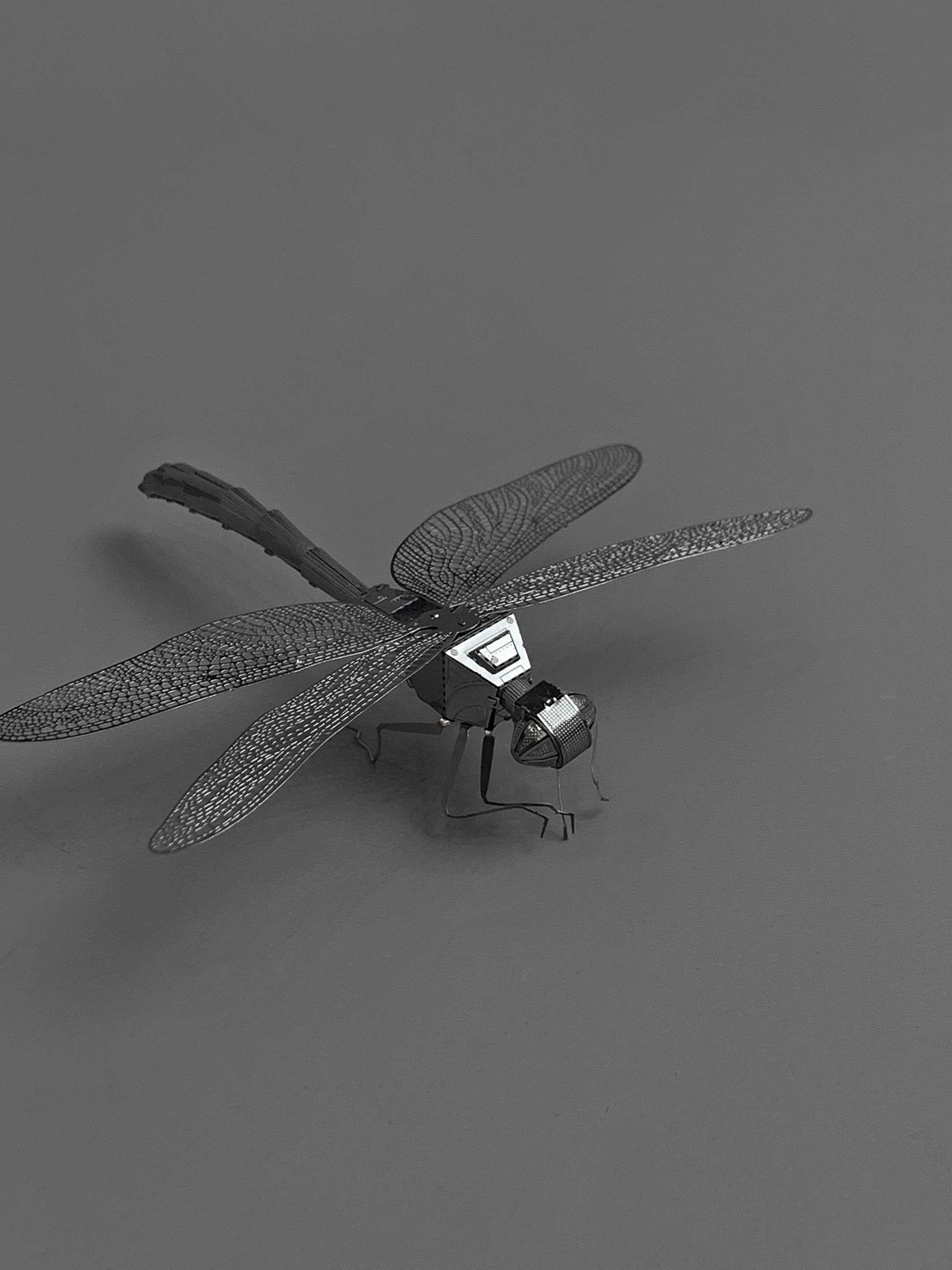 无聊的时候组装个模型玩 金属拼装玩具 摆件 蜻蜓 幽灵车 城堡