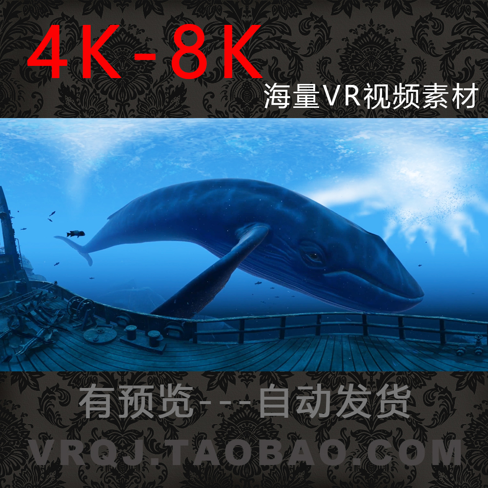 8K3DVR内容全景视频短片探秘蓝鲸theBlu合集虚拟现实素材vrq35