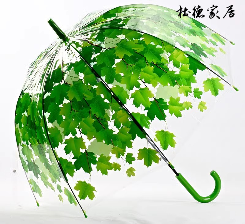 个性创意树叶透明伞小清新阿波罗伞长柄伞拱形枫叶雨伞蘑菇公主伞