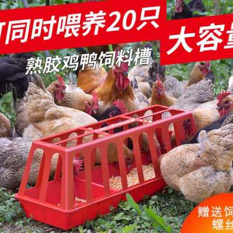 速发鸡食槽防撒大号长方形喂鸡食槽喂水槽加厚鸡鸭喂食器养殖鸡食