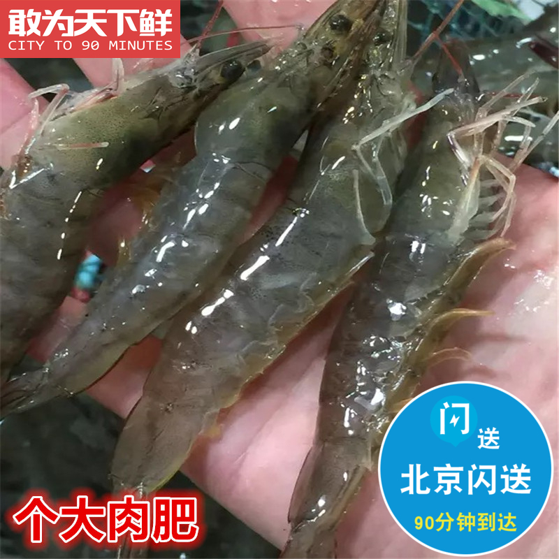 500g 北京闪送 鲜活海白虾 海鲜 水产 明虾 对虾 非基围虾