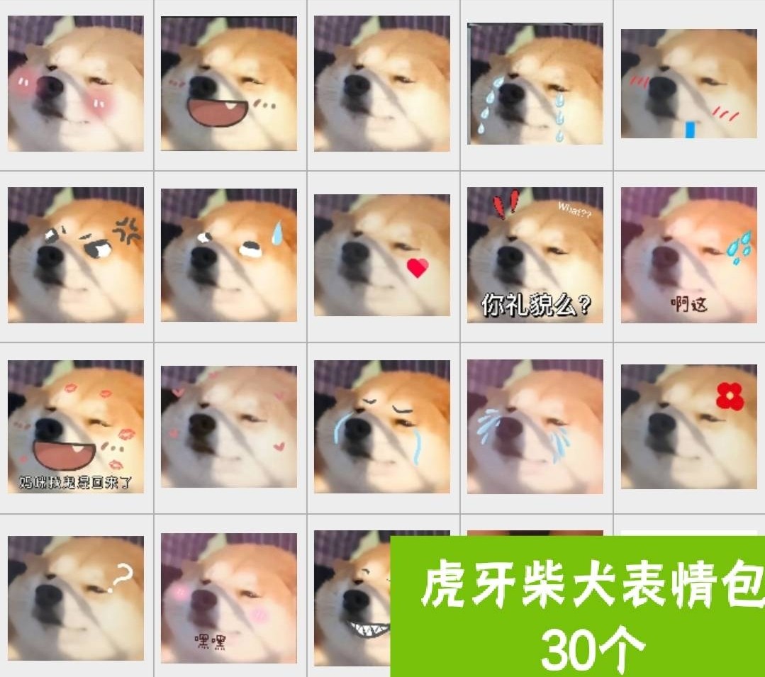 【非贴纸】虎牙柴犬可爱表情包微信表情包30个静态图片电子