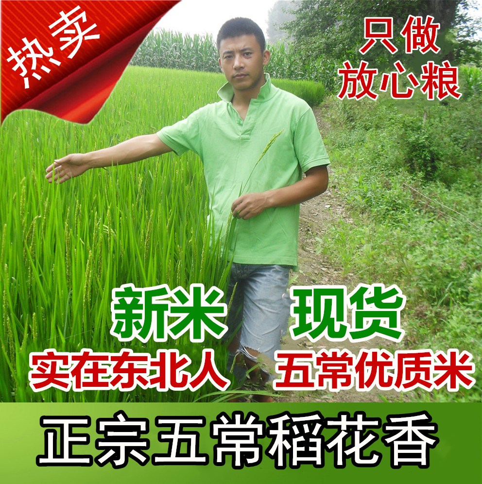 青山米店新米东北五常稻花香贡米黑龙江农家不抛光特产大米10斤