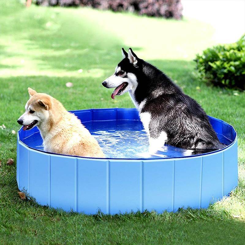 狗狗洗澡盆宠物猫咪浴盆可折叠大型犬狗游泳池浴缸金毛泡澡桶