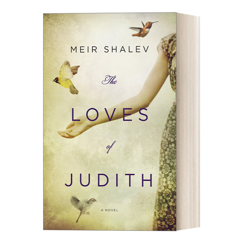 英文原版 The Loves of Judith 朱迪斯的爱人们 女性小说 Meir Shalev 英文版 进口英语原版书籍