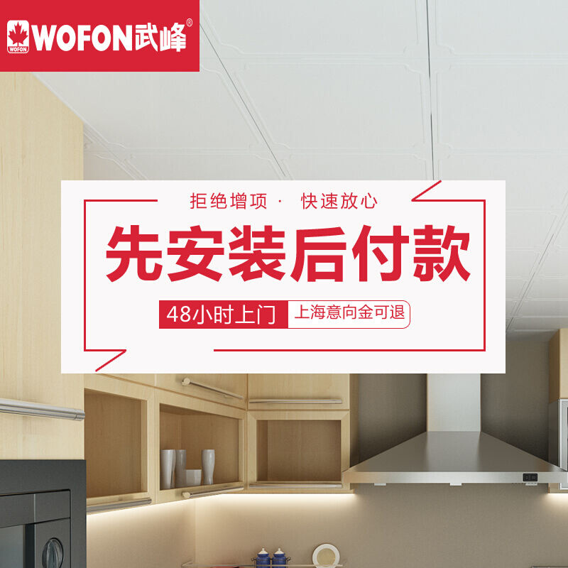 新款武峰（WOFON）上海武峰吊顶全自净防油污套餐厨房卫生间天花