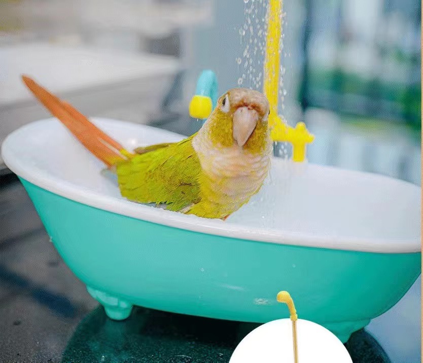 鹦鹉鸟用洗澡盆洗澡盒仿真浴缸电动玩具可淋浴牡丹玄凤