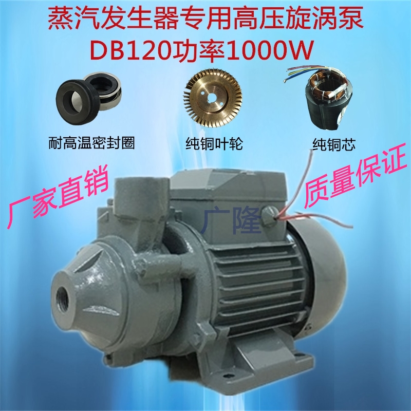 电动漩涡整烫锅炉蒸汽发生器专用耐高温增压循环水泵1000瓦DB120