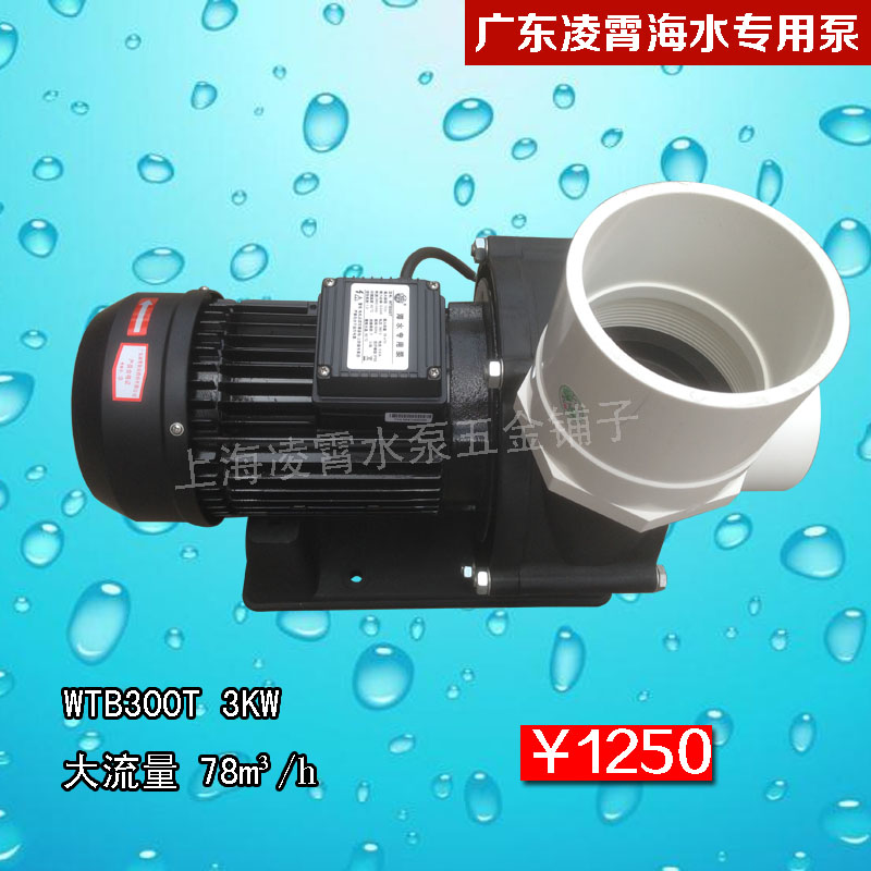 广东凌霄海水专用泵WTB300T大流量海水泵 塑料浴缸按摩鱼池循环泵