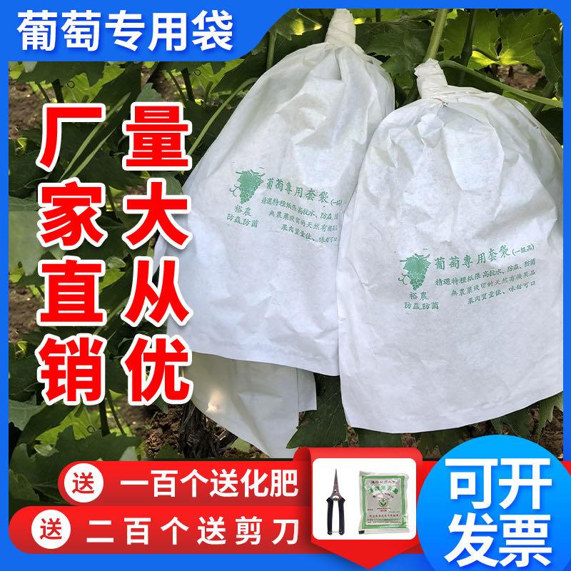 葡萄套袋包纸袋防虫防鸟水果防水雨用的袋子莲雾保护透气新型包装