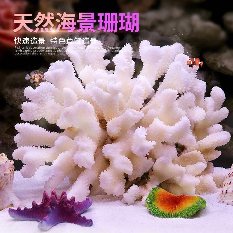 天然壳造海螺白珊瑚石景礁仿真珊瑚缸鱼造景石水族装饰贝家居摆件